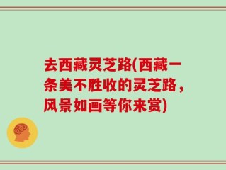 去西藏灵芝路(西藏一条美不胜收的灵芝路，风景如画等你来赏)