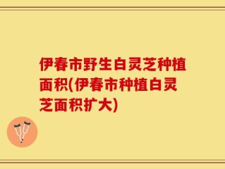 伊春市野生白灵芝种植面积(伊春市种植白灵芝面积扩大)