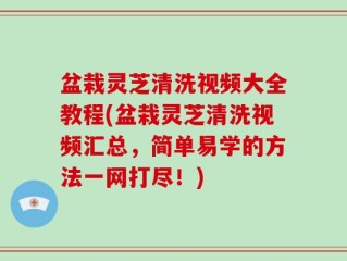 盆栽灵芝清洗视频大全教程(盆栽灵芝清洗视频汇总，简单易学的方法一网打尽！)