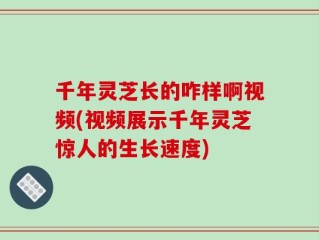 千年灵芝长的咋样啊视频(视频展示千年灵芝惊人的生长速度)
