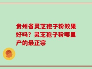 贵州省灵芝孢子粉效果好吗？灵芝孢子粉哪里产的最正宗