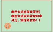 鹿邑太清宫发现灵芝(鹿邑太清宫内发现珍贵灵芝，震惊考古界！)