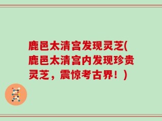 鹿邑太清宫发现灵芝(鹿邑太清宫内发现珍贵灵芝，震惊考古界！)