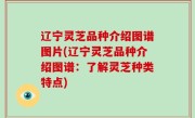 辽宁灵芝品种介绍图谱图片(辽宁灵芝品种介绍图谱：了解灵芝种类特点)