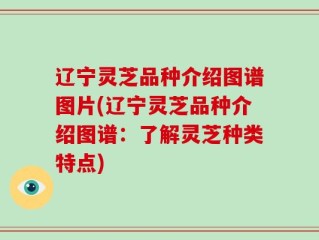 辽宁灵芝品种介绍图谱图片(辽宁灵芝品种介绍图谱：了解灵芝种类特点)