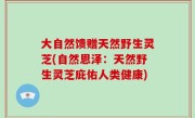 大自然馈赠天然野生灵芝(自然恩泽：天然野生灵芝庇佑人类健康)