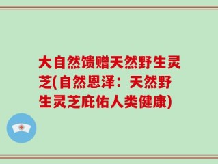 大自然馈赠天然野生灵芝(自然恩泽：天然野生灵芝庇佑人类健康)
