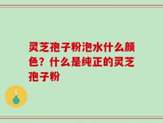 灵芝孢子粉泡水什么颜色？什么是纯正的灵芝孢子粉