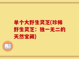 单个大野生灵芝(珍稀野生灵芝：独一无二的天然宝藏)