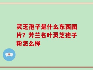 灵芝孢子是什么东西图片？芳兰名叶灵芝孢子粉怎么样