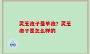 灵芝孢子是单孢？灵芝孢子是怎么样的