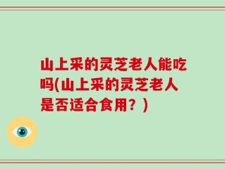 山上采的灵芝老人能吃吗(山上采的灵芝老人是否适合食用？)