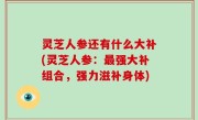 灵芝人参还有什么大补(灵芝人参：最强大补组合，强力滋补身体)