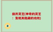 撬开灵芝(神奇的灵芝：发现其隐藏的功效)