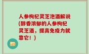 人参枸杞灵芝泡酒解说(醇香浓郁的人参枸杞灵芝酒，提高免疫力就靠它！)