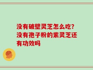 没有破壁灵芝怎么吃？没有孢子粉的紫灵芝还有功效吗