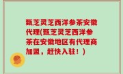 甄芝灵芝西洋参茶安徽代理(甄芝灵芝西洋参茶在安徽地区有代理商加盟，赶快入驻！)