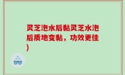 灵芝泡水后黏灵芝水泡后质地变黏，功效更佳)