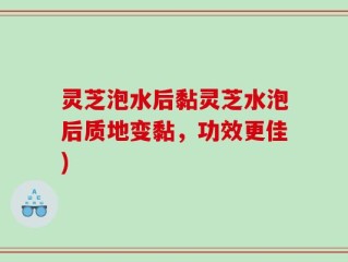 灵芝泡水后黏灵芝水泡后质地变黏，功效更佳)