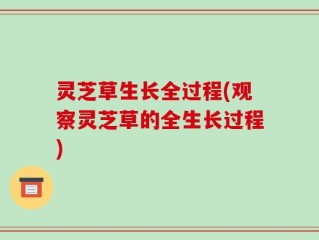 灵芝草生长全过程(观察灵芝草的全生长过程)