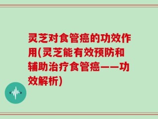 灵芝对食管癌的功效作用(灵芝能有效预防和辅助治疗食管癌——功效解析)