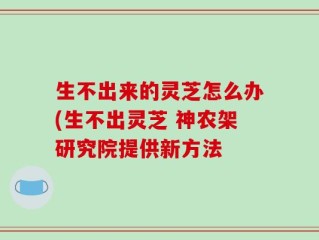 生不出来的灵芝怎么办(生不出灵芝 神农架研究院提供新方法