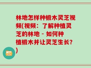 林地怎样种椴木灵芝视频(视频：了解种植灵芝的林地 - 如何种植椴木并让灵芝生长？)