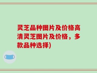 灵芝品种图片及价格高清灵芝图片及价格，多款品种选择)
