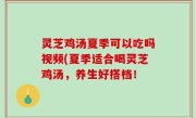 灵芝鸡汤夏季可以吃吗视频(夏季适合喝灵芝鸡汤，养生好搭档！