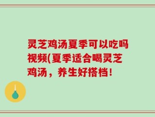 灵芝鸡汤夏季可以吃吗视频(夏季适合喝灵芝鸡汤，养生好搭档！