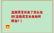 盆栽灵芝长虫了怎么治好(盆栽灵芝长虫如何防治？)