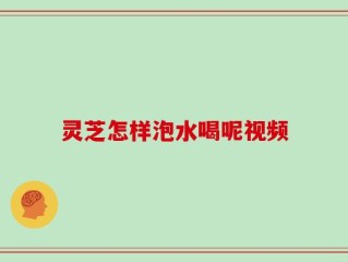 灵芝怎样泡水喝呢视频