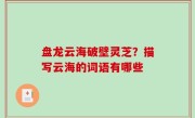 盘龙云海破壁灵芝？描写云海的词语有哪些