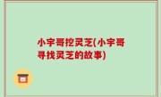 小宇哥挖灵芝(小宇哥寻找灵芝的故事)