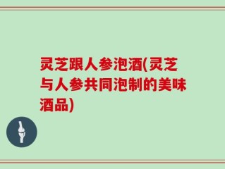 灵芝跟人参泡酒(灵芝与人参共同泡制的美味酒品)