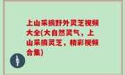 上山采摘野外灵芝视频大全(大自然灵气，上山采摘灵芝，精彩视频合集)