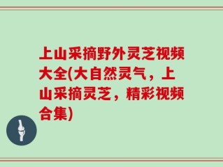 上山采摘野外灵芝视频大全(大自然灵气，上山采摘灵芝，精彩视频合集)