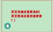 灵芝泡酒还是煮汤好(灵芝煮汤还是泡酒更香？)