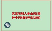 灵芝石斛人参山药(四种中药材的养生功效)