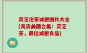 灵芝泡茶减肥图片大全(高清美图合集：灵芝茶，最佳减肥良品)