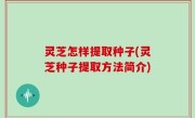 灵芝怎样提取种子(灵芝种子提取方法简介)