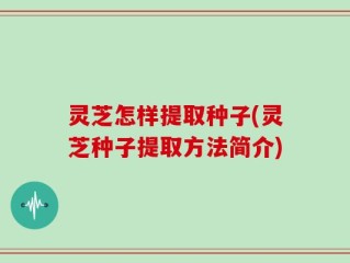 灵芝怎样提取种子(灵芝种子提取方法简介)