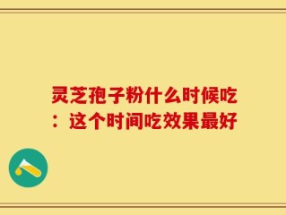 灵芝孢子粉什么时候吃：这个时间吃效果最好
