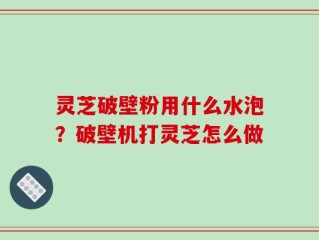 灵芝破壁粉用什么水泡？破壁机打灵芝怎么做