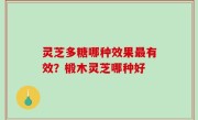 灵芝多糖哪种效果最有效？椴木灵芝哪种好