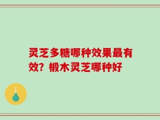 灵芝多糖哪种效果最有效？椴木灵芝哪种好