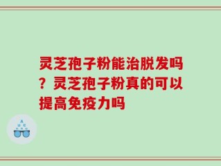 灵芝孢子粉能治脱发吗？灵芝孢子粉真的可以提高免疫力吗