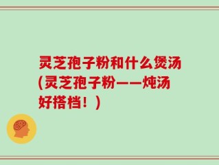 灵芝孢子粉和什么煲汤(灵芝孢子粉——炖汤好搭档！)