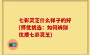 七彩灵芝什么样子的好(择优挑选：如何辨别优质七彩灵芝)
