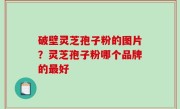 破壁灵芝孢子粉的图片？灵芝孢子粉哪个品牌的最好